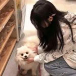 无尽黑夜官方版下载